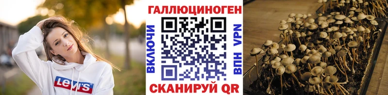 Псилоцибиновые грибы Magic Shrooms  Удачный 